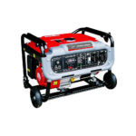 موتور برق جیانگ دانگ 3 کیلووات مدل JD5500JW